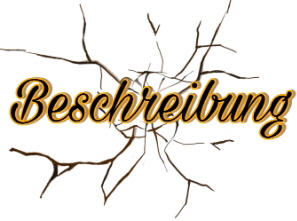 Beschreibung